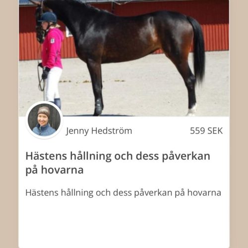 Hästens hållning och dess påverkan på hovarna