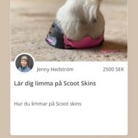 Hur du limmar på Scoot skins