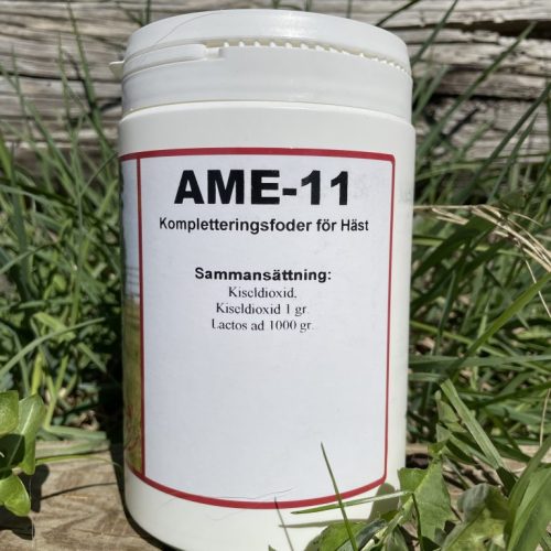 AME - 11